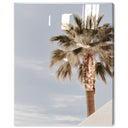 Monotone Tropics II