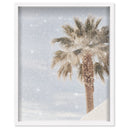 Monotone Tropics II