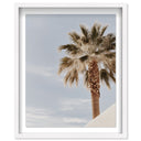 Monotone Tropics II