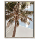 Monotone Tropics I