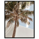 Monotone Tropics I