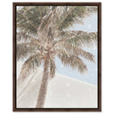 Monotone Tropics I