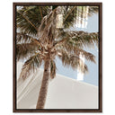 Monotone Tropics I
