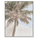 Monotone Tropics I