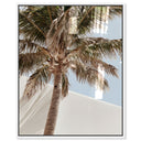 Monotone Tropics I