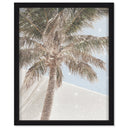 Monotone Tropics I