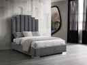 Jordan Queen Bed