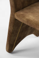 Ditka - Modern Velvet Dining Chair (Set of 2)