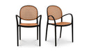 Soren Outdoor Dining Chair Black-Set of Two