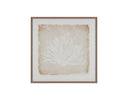 40" X 40" Medium Brown Frame Nature Aquatic Flora I by Matho Sun