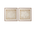 40" X 40" Medium Brown Frame Nature Aquatic Flora I by Matho Sun, view 2