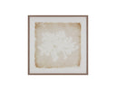 40" X 40" Medium Brown Frame Nature Aquatic Flora Ii by Matho Sun