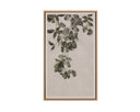 18.5" X 31" Natural Floater Frame Nature Botanical Study Ii by Matho Sun