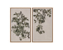 18.5" X 31" Natural Floater Frame Nature Botanical Study Ii by Matho Sun, view 2