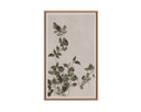 18.5" X 31" Natural Floater Frame Nature Botanical Study Iii by Matho Sun