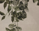 18.5" X 31" Natural Floater Frame Nature Botanical Study Ii by Matho Sun, view 6