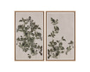 18.5" X 31" Natural Floater Frame Nature Botanical Study Iii by Matho Sun, view 2