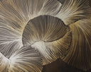 60" X 60" Satin Gold Floater Frame Landscape Moonflower by Matho Sun, view 3