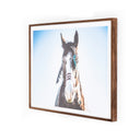 WAR HORSE