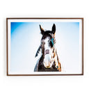 WAR HORSE