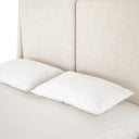 POTTER BED