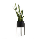 JED PLANTER