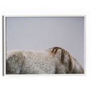 Graze By FH Art Studio