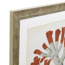 Silver Frame Prints (6) Red Corals