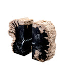 Petrified Wood Bookends (2) Opia