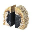 Petrified Wood Bookends (2) Opia