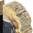Petrified Wood Bookends (2) Opia