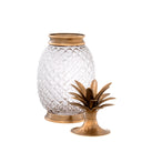 Clear Glass Pineapple Jar Hayworth