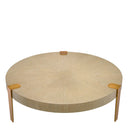 Oak Veneer Coffee Table Oxnard