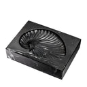 Black Marble Shell Fossil Conchiglia