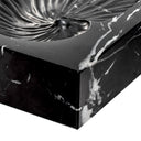 Black Marble Shell Fossil Conchiglia