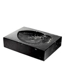 Black Marble Shell Fossil Conchiglia