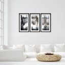 Pizzicato Triptych