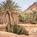 Exotic Art Print Moroccan Oasis