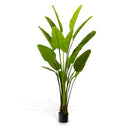 Green Artificial Plant Strelitzia
