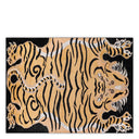 Orange Wool Rug 10' x 13' Zandria