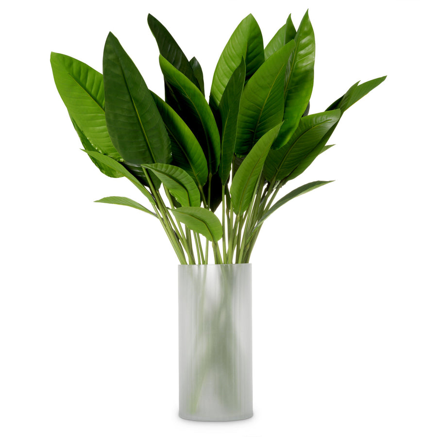 Green Leaves (36) Strelitzia