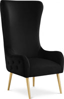 Alexander Velvet Upholstered Accent Chair - Black