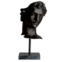 Bronze Head Statue David
