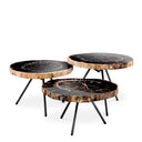 Petrified Coffee Table (3) De Soto