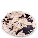 Petrified Coffee Table (3) De Soto