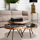 Petrified Coffee Table (3) De Soto