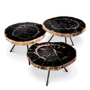 Petrified Coffee Table (3) De Soto