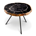 Petrified Coffee Table (3) De Soto