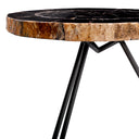 Petrified Coffee Table (3) De Soto