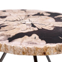 Petrified Coffee Table (3) De Soto